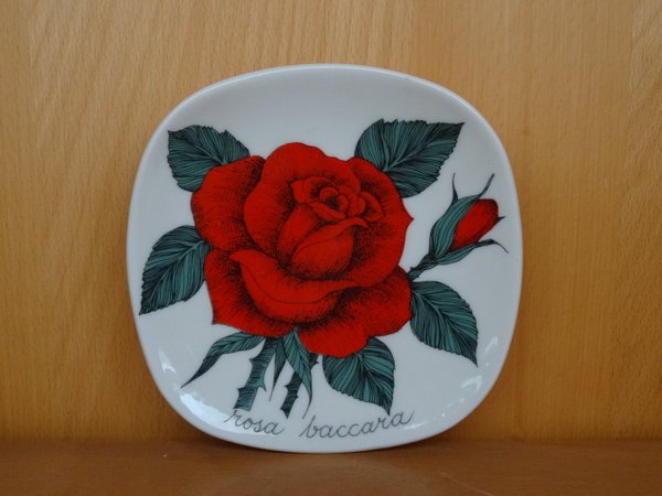 1556 Botanica Rosa – sarja Arabia